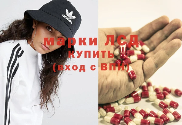спайс Беломорск